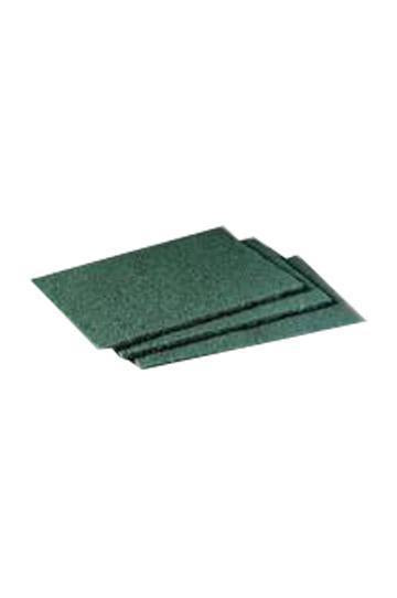 Spongue Scourer