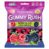Gummy Rush 90g Display (120 Pieces)