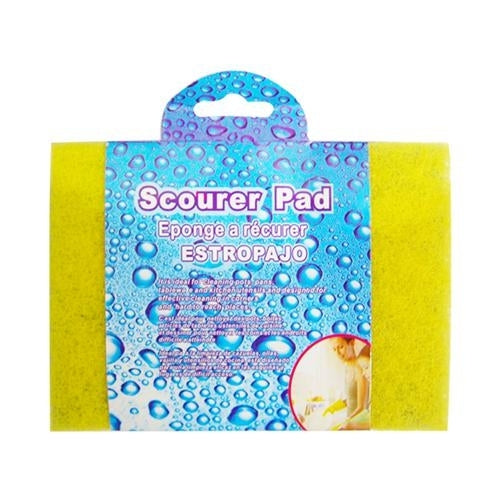 Scourer Pad 10 Pack