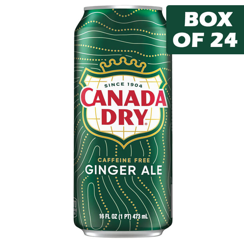 Canada Dry Ginger Ale Can 473ml