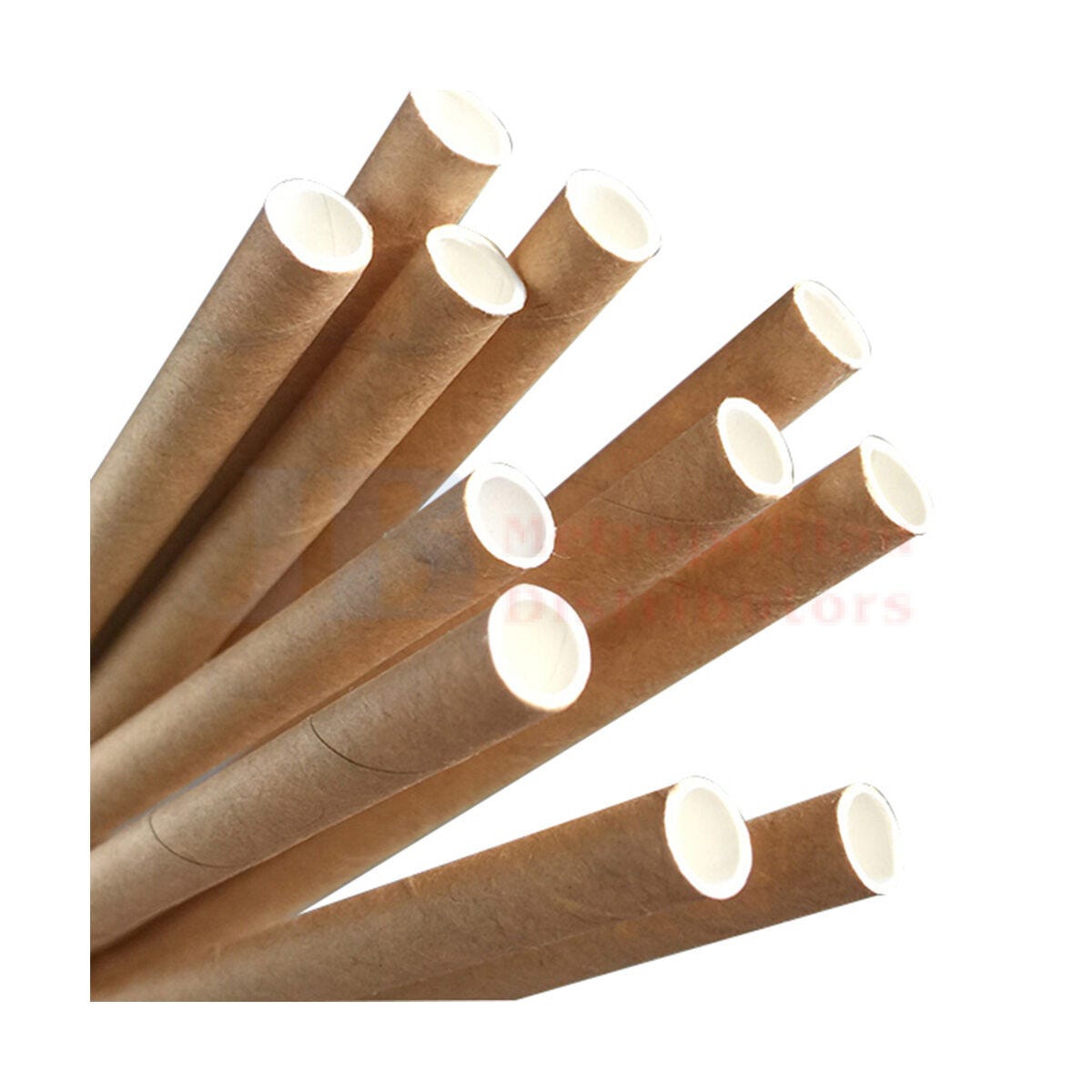 Eco-Straw Regular Paper Straw (250 Pack)