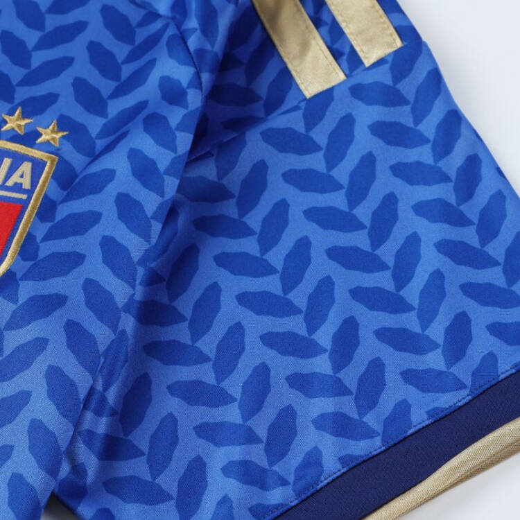 2026 FIFA World Cup Italy Home Jersey – #1 DONNARUMMA, #3 DIMARCO, #8 TONALI, #10 R.BAGGIO, #14 CHIESA, #18 BARELLA, Children/Adult Sizes, Breathable Fabric(TONALI + SizeXXL)