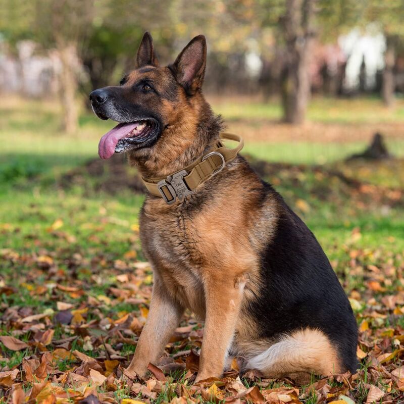 Tactical Dog Collar - Military Dog Collar With Control Handle, Adjustable Nylon Padded Dog Collar For Medium Large Dogs