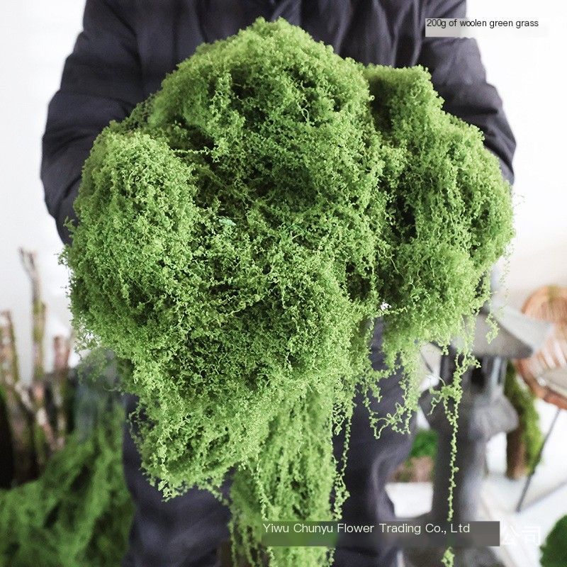 Simulated500gWoolenMossFibers