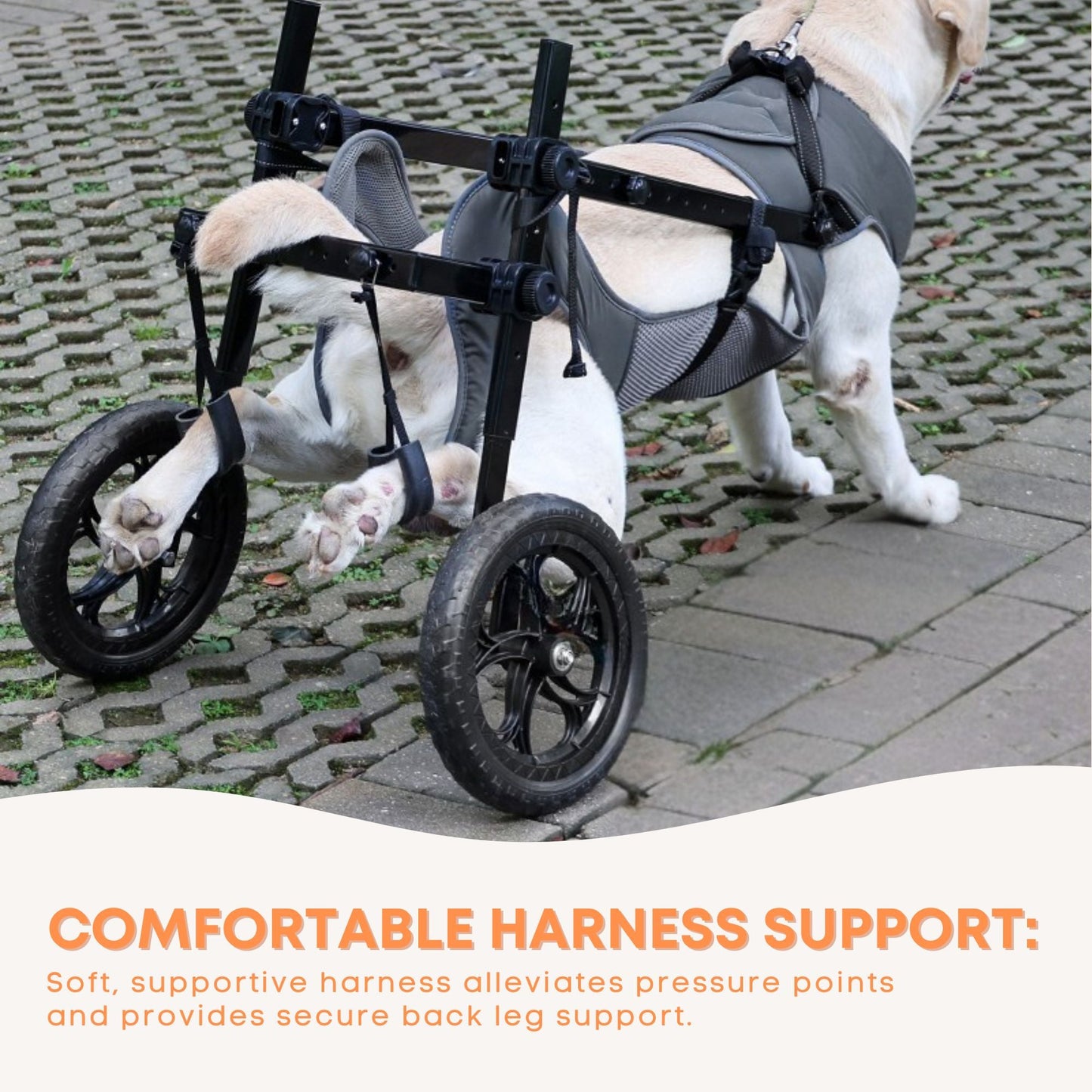 Rooster Farms Large Dog Wheelchair XL Harness - Adjustable Back Leg Aid