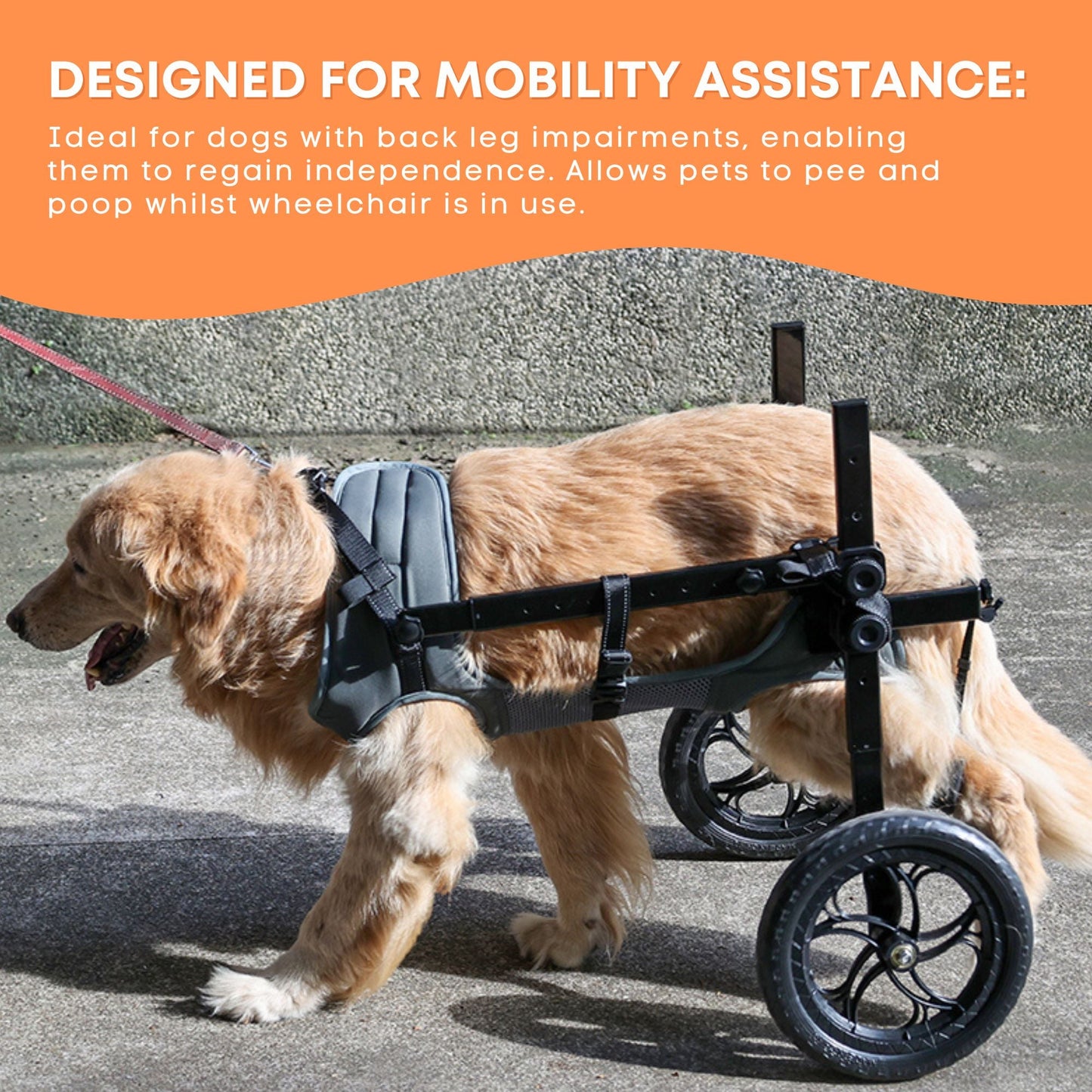 Rooster Farms Large Dog Wheelchair XXL Harness - Adjustable Back Leg Aid