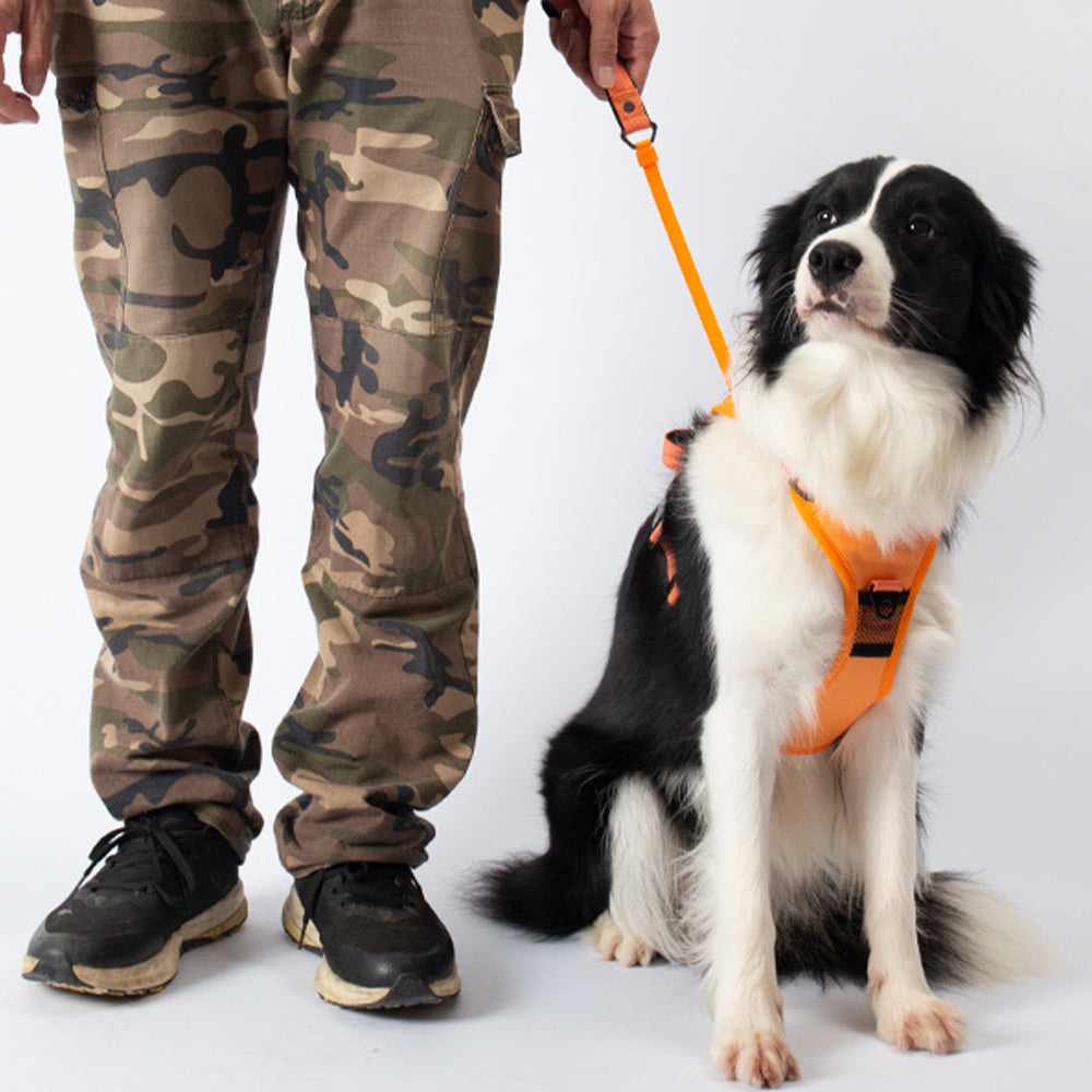 Vibe Geeks Ultimate 2-in-1 Reflective No-pull Dog Harness with Retractable Leash and Control Handle - Black - L