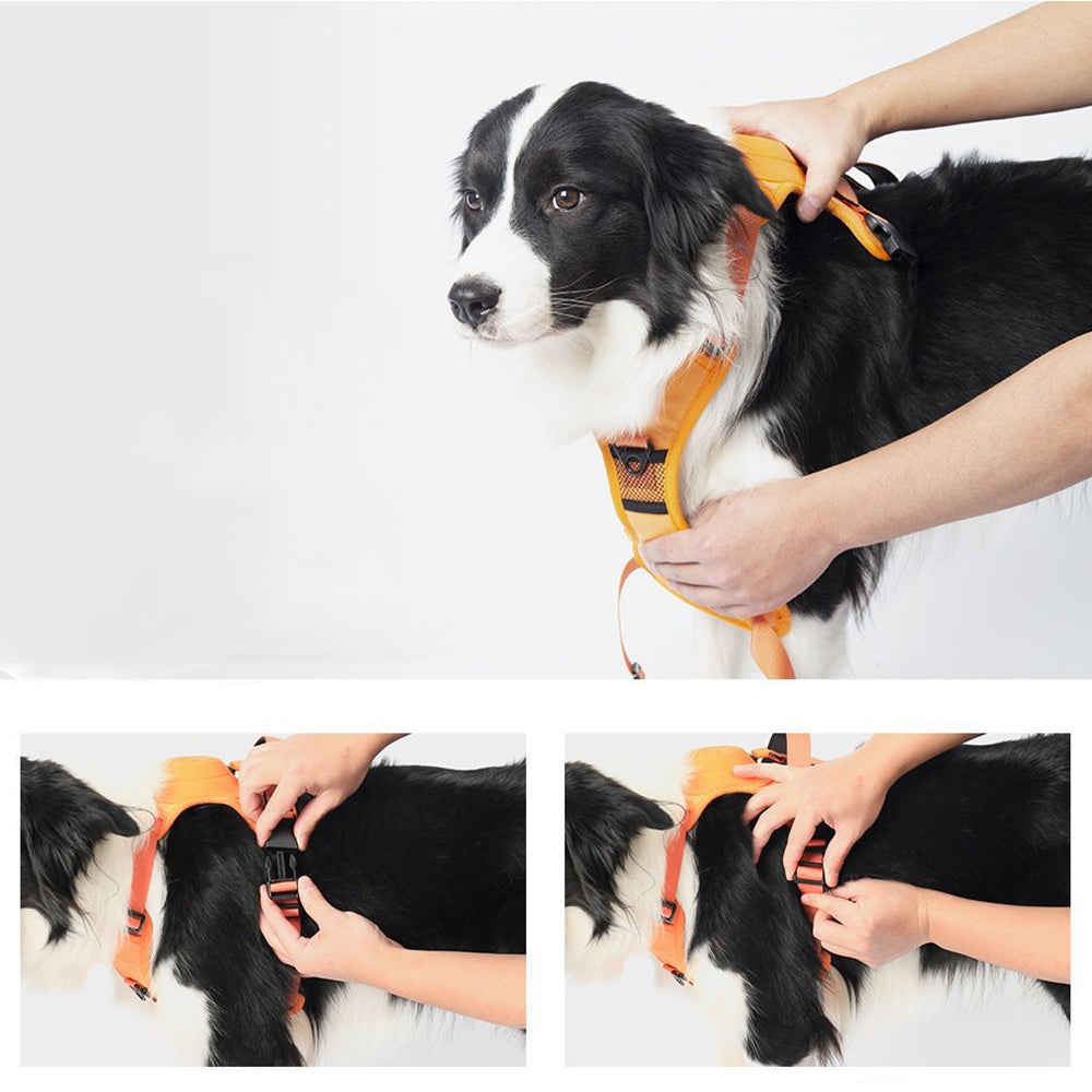 Vibe Geeks Ultimate 2-in-1 Reflective No-pull Dog Harness with Retractable Leash and Control Handle - Blue - Xl