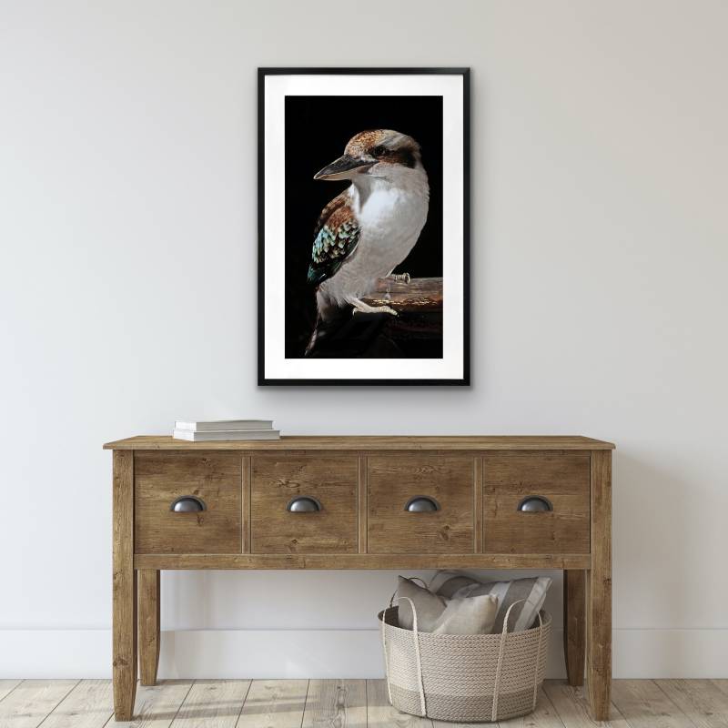 Mystery Kookaburra Artwork Framed W Glass Front 80x120cm