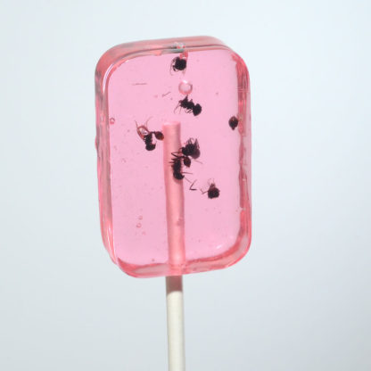 Hotlix Ant Suckers 