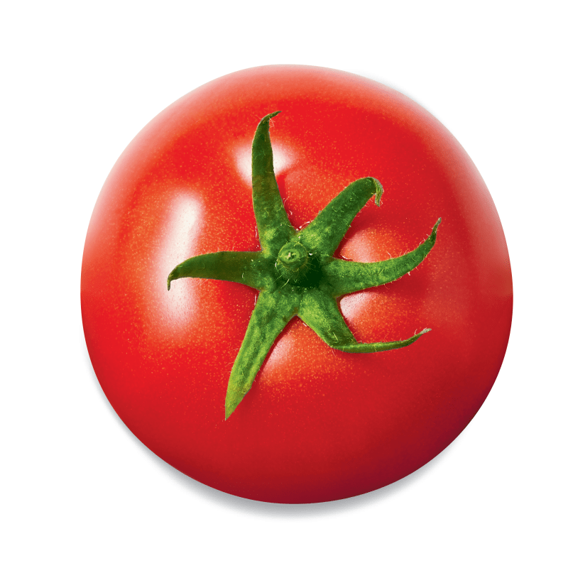 Masterfoods Squeeze Sauce Tomato (100 Pack)