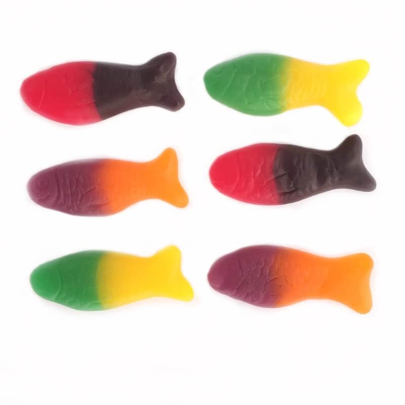 Rainbow Fish Tub