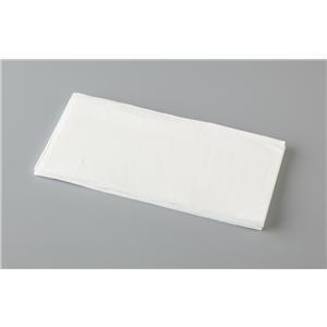 Napkins 1 Ply White Pack Of 100