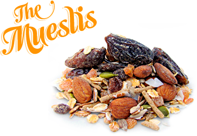 12 X Natural Grocer Muesli Natural Premium 1Kg